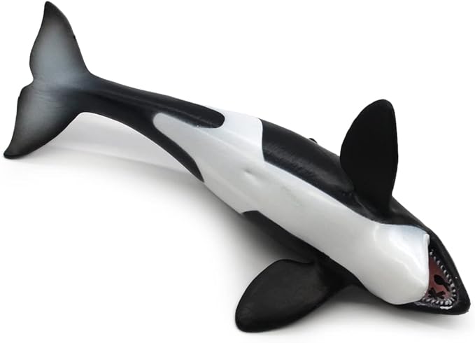 Solid Sea Animals Educational Toys,Simulation Ocean Shark Sea Creature Toy for Toddlers Kids (Killer Whale)