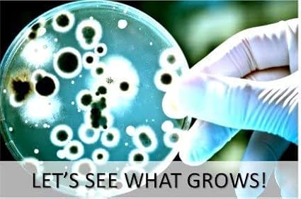 Essential 2.0 Bacteria Growing Science Kit. Pre-Poured Agar Plates (100mm) with Gloves & Swabs. Perfect for Kids. Great for Learning About Microbiology. Free Project Guide eBook Available.