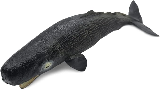 Solid Sea Animals Educational Toys,Simulation Ocean Shark Sea Creature Toy for Toddlers Kids (Sperm Whale)