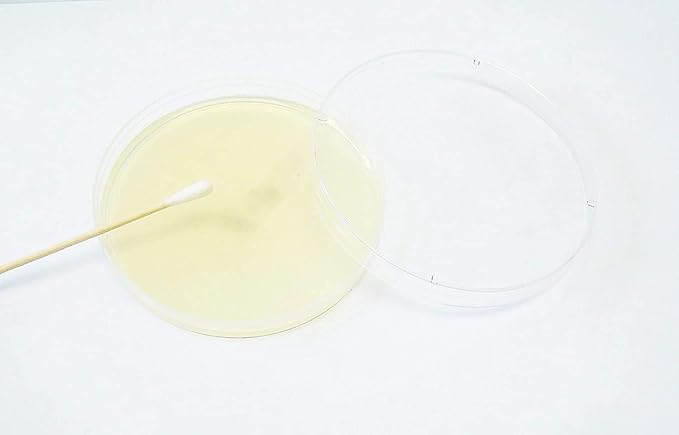 Essential 2.0 Bacteria Growing Science Kit. Pre-Poured Agar Plates (100mm) with Gloves & Swabs. Perfect for Kids. Great for Learning About Microbiology. Free Project Guide eBook Available.