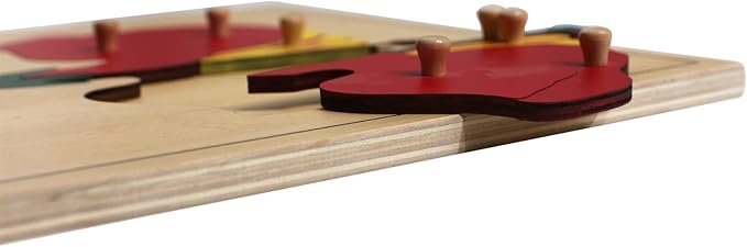 MEYOR Montessori Flower Puzzle for Learning Toy