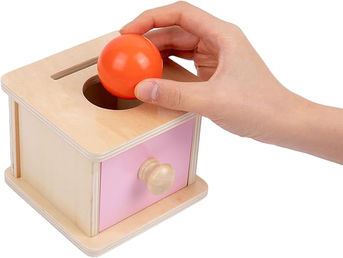 Adena Montessori Infant Toddlers Coin Box Montessori Toys for 6-12 Months Babies 1 Year 2 Year Old (2 in 1,Coin&Ball, Pink Door)