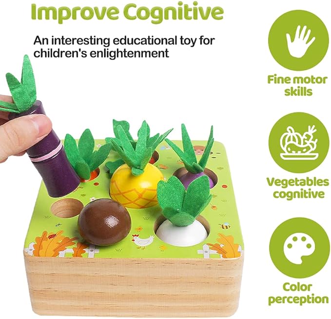 Wooden Montessori Learning Toys for 3+ Years Kids - Toddler Learning Toys with Shape Color Sorting Stacking Toys Wooden Puzzles Easter Basket Stuffers Gift for Toddler Boys Girls