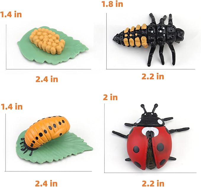 Montessori Life Cycle Animal Figures with Flash Cards, Realistic Animal Figurines Toy, Educational Matching Game for 3+ Year Old Toddlers Kids (Ladybug)