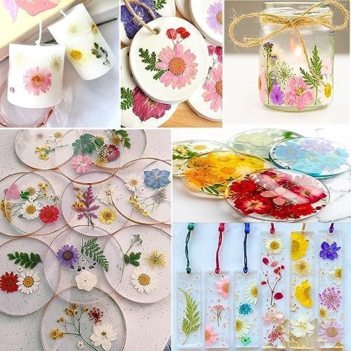 301Pcs Dried Pressed Flowers Leaves & Butterfly Stickers for Crafts,TrendCart Real Natural Dry Pressed Flowers for Resin Molds Nails Art Candle Making Phone Cases DIY Art Crafts Jewelry Making