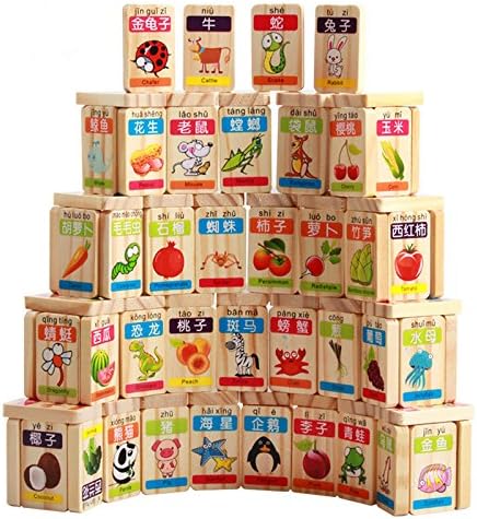 Guaishou New Chinese English Language Learning Wooden Blocks Domino Children's Educational Product Wooden Toys Recognize/Identify Fruits and Animals 100pcs