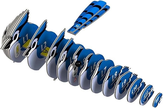 Eugy Blue Jay 3D Puzzle, 26 Piece Eco-Friendly Educational Toy Puzzles for Boys, Girls & Kids Ages 6+