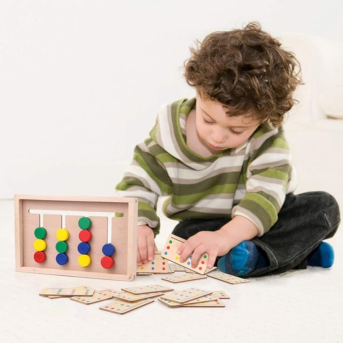 Montessori Learning Toys Slide Puzzle Color and Shape Matching Logic Puzzles for Kids, Preschool Educational Wooden Brain teasers Toy for Child Kids Age 3 4 5 6 7