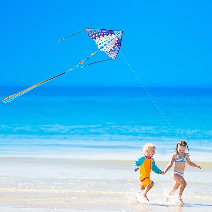 HONBO Large Delta Kite for Kids & Adults,Extremely Easy to Fly Kite for Beach Trip,String Line Included,with Colorful Tail,Perfect for Beginners