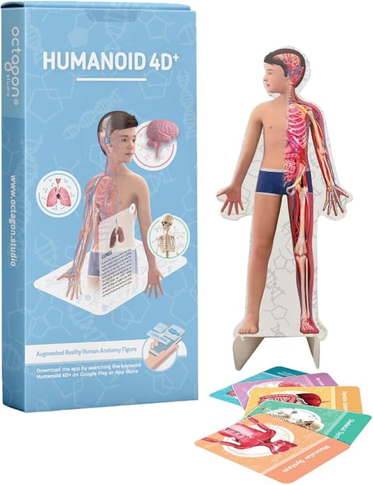 4D+ Augmented Reality Flashcards for Kids – Educational STEM Cards with Free App – Interactive Learning for Ages 4+ (Humanoid 4D+)