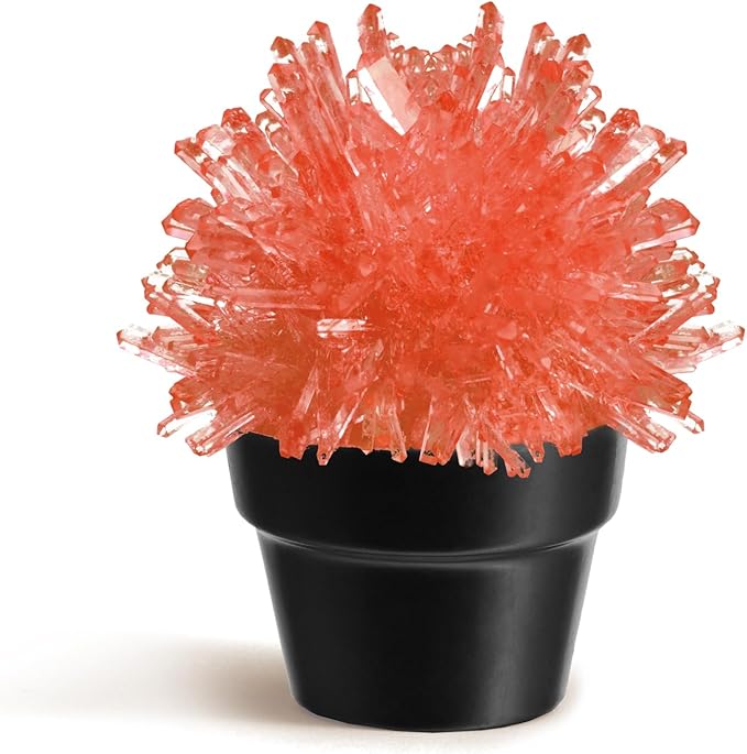 Crystal Growing Kit for Kids, Cactus-Red DIY Crystal Science Experiment Set, Grow Your Own Crystals, STEM Educational Chemistry Kit for Boys & Girls Ages 6-12, Fun Science Lab Gift for Kids