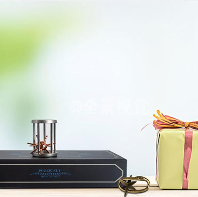 5 Pcs Metal Puzzles 3D Brain Teaser Puzzles for Adults Teens, Highly Difficult Metal Brain Puzzles, IQ Logic Test Disentanglement Game for Classroom Party Mind Challenge School Supplies (Cage Puzzle)