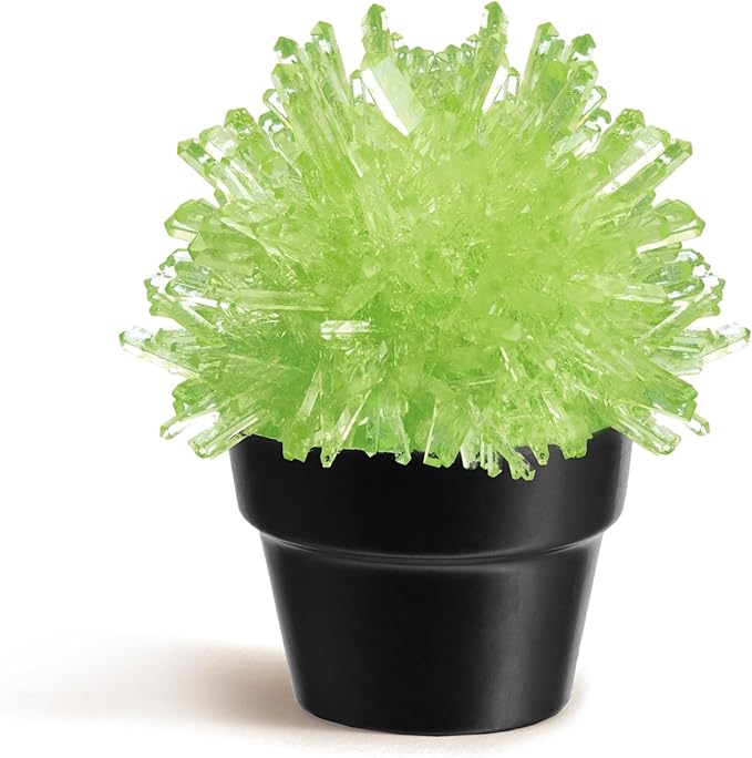 Crystal Growing Kit for Kids, Cactus-Green DIY Crystal Science Experiment Set, Grow Your Own Crystals, STEM Educational Chemistry Kit for Boys & Girls Ages 6-12, Fun Science Lab Gift for Kids