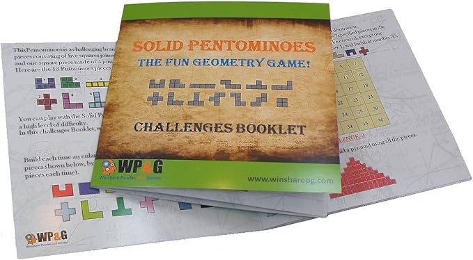 Solid Pentominoes - Wooden Brain Teaser Puzzle