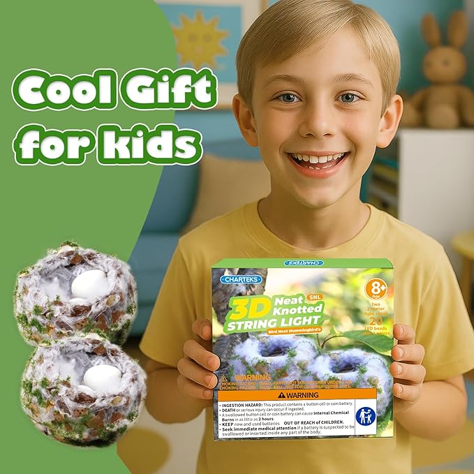 CHARTEKS DIY Bird Nest Craft Kit with 30 Twinkle LEDs and Simulated Eggs – Natural String Art Set for Home Décor, Kids STEM Toy, Creative Birthday Gift for Boys Girls Age 8+