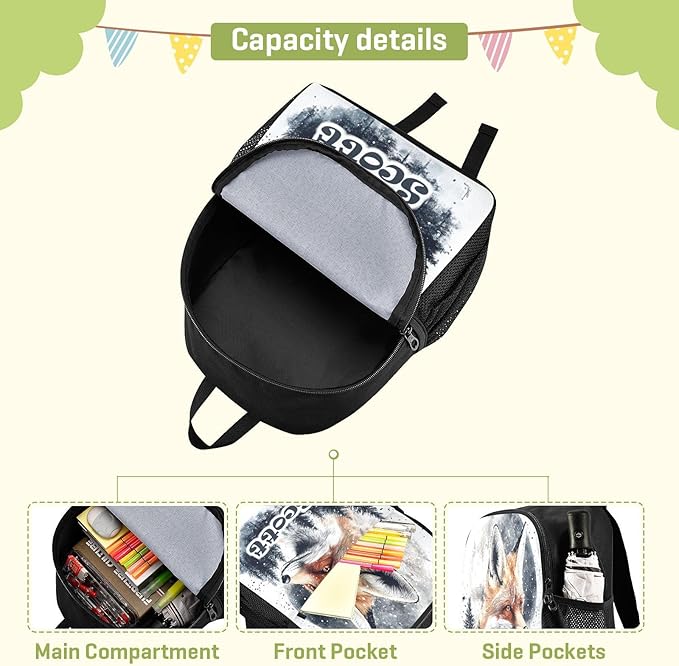 Pine Fox Toddler Backpack for Boys Girls 3-6 Bookbag for Preschool Small Kindergarten Elementary Backpackss for Kids for Travel