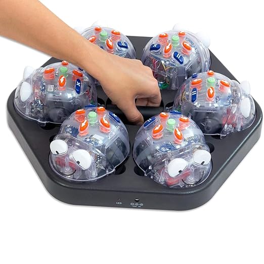 Blue Bot Pogrammable Robotics - Class Bundle - See & Say Version - STEM Classroom Coding, Teaching & Learning Robotics