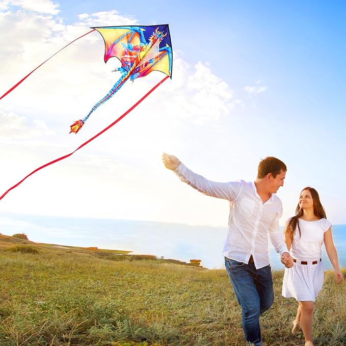 HONBO Large Delta Kite for Kids & Adults,Extremely Easy to Fly Kite for Beach Trip,String Line Included,with Colorful Tail,Perfect for Beginners