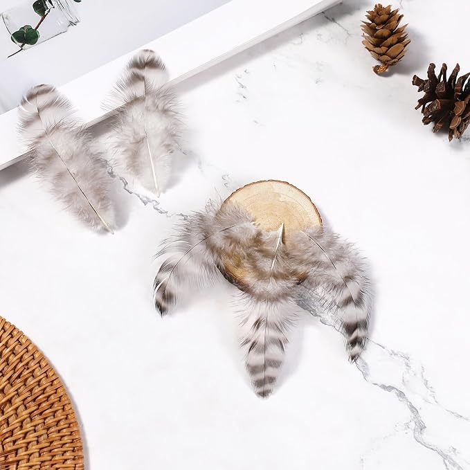 Soarer Natural Chinchilla Coque Feathers - 300pcs 3-5inch Craft Feathers for Dream Catcher Supplies, Home Party, Hats and Jewelry Accessories and DIY Crafts(Chinchilla)