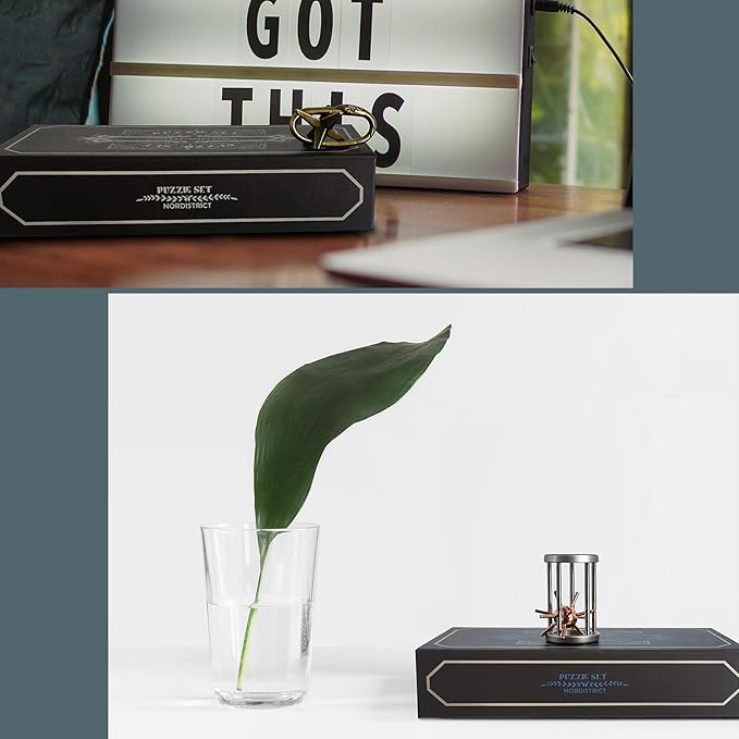 5 Pcs Metal Puzzles 3D Brain Teaser Puzzles for Adults Teens, Highly Difficult Metal Brain Puzzles, IQ Logic Test Disentanglement Game for Classroom Party Mind Challenge School Supplies(Key Puzzle)