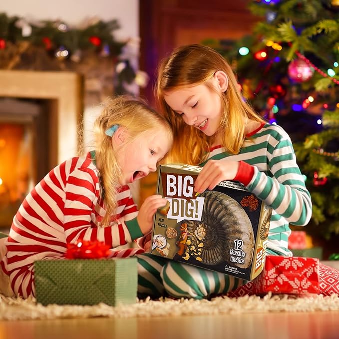 Byncceh Mega Fossil Dig Kit - Excavate 12 Prehistoric Fossils, Shark Teeth, Dinosaur Poop, Fossil Fish, Paleontology Educational STEM Science Toys for Kids Gifts for Girls & Boys