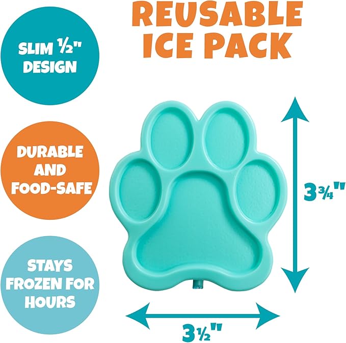 Bentology Kids Lunch Bag Set w Matching Reusable Water Bottle & Hard Ice Pack- Blue Purple Cheetah Cat- Insulated Tote, Stainless Steel Insulated Thermos, Hard Ice Pack- Back to School Lunchbox Kits