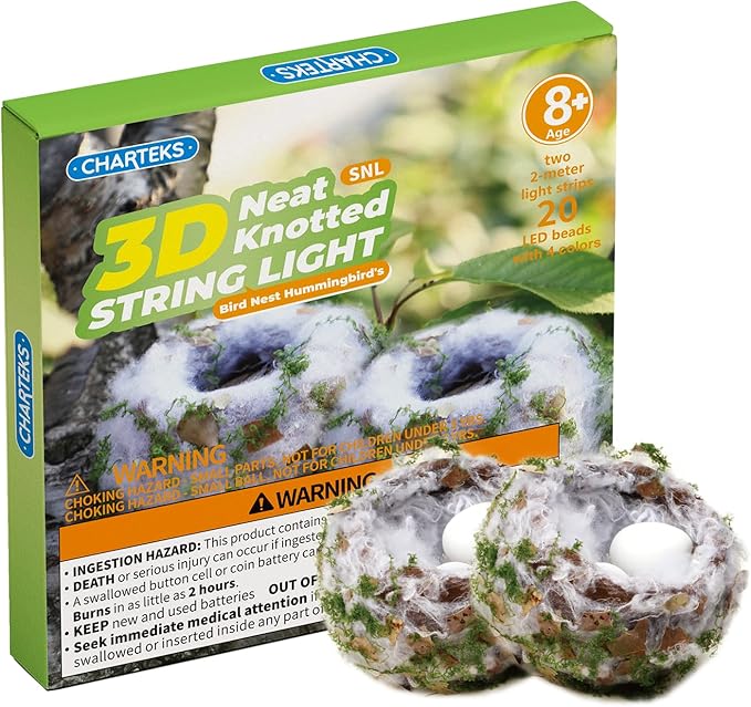 CHARTEKS DIY Bird Nest Craft Kit with 30 Twinkle LEDs and Simulated Eggs – Natural String Art Set for Home Décor, Kids STEM Toy, Creative Birthday Gift for Boys Girls Age 8+