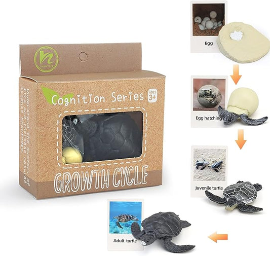 Montessori Life Cycle Animal Figures with Flash Cards, Realistic Animal Figurines Toy, Educational Matching Game for 3+ Year Old Toddlers Kids (Turtle)