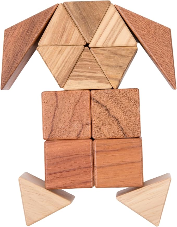 Montessori Wooden Fraction Puzzle Toy, Educational Math Manipulatives for 3+ Years Old, Geometric Shape Matching Game―Various Quality Wood Material Blocks, Classroom Learning Materials