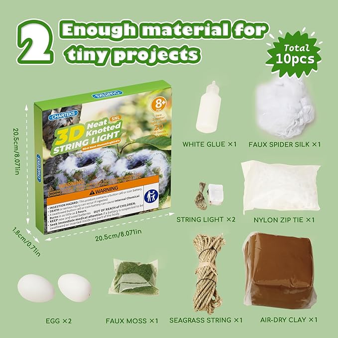 CHARTEKS DIY Bird Nest Craft Kit with 30 Twinkle LEDs and Simulated Eggs – Natural String Art Set for Home Décor, Kids STEM Toy, Creative Birthday Gift for Boys Girls Age 8+