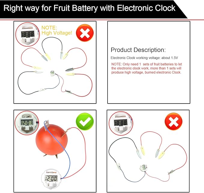 EUDAX Fruit Battery Science Experiment Kit for DIY School Home Teaching Equipment, Orange Lemon Potato Electronic Clock Science Project Kit Physics Educational for Students Teachers (8 Set)