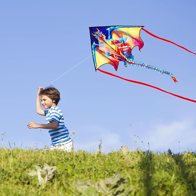 HONBO Large Delta Kite for Kids & Adults,Extremely Easy to Fly Kite for Beach Trip,String Line Included,with Colorful Tail,Perfect for Beginners