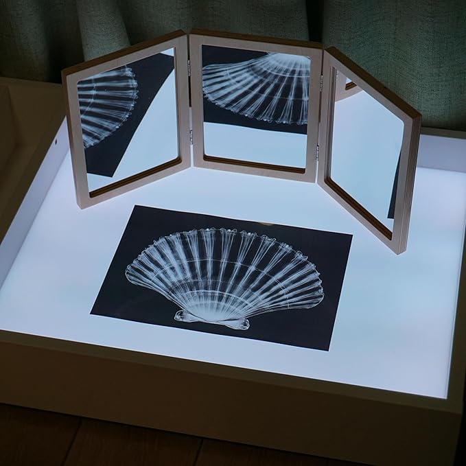 Animal X-Ray Set, Educational Science Kit, Light Table Accessory for Children (Sea Animals)