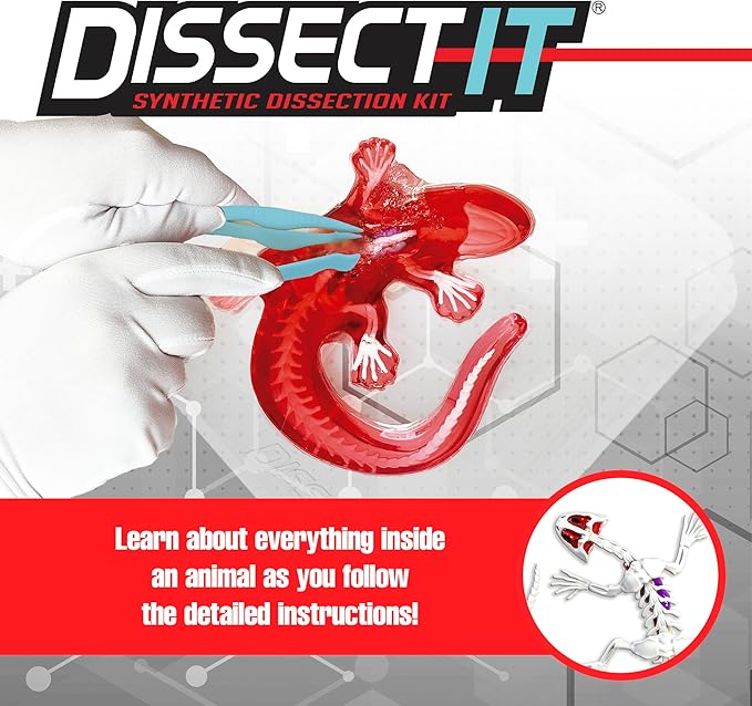 Dissect-It Kit for Kids, Simulated Synthetic Lab Dissection Toy, Salamander STEM Toys for Animal Science, Biology, and Anatomy