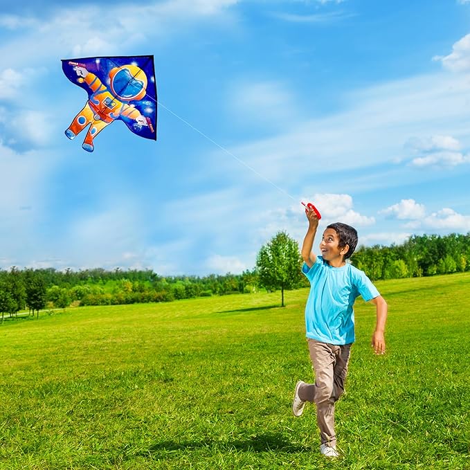 HONBO Large Delta Kite for Kids & Adults,Extremely Easy to Fly Kite for Beach Trip,String Line Included,with Colorful Tail,Perfect for Beginners
