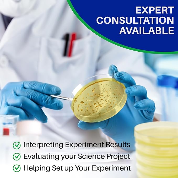 Evviva Sciences Nutrient Agar Petri Dishes Science Project Kit, Pre-Poured Agar Plates for Science Experiments, with Experiment eBook (Yellow)