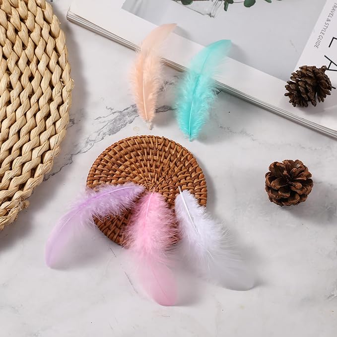 Soarer 300pcs Macaron Rooster Feathers Bulk - 3-5inch Craft Feathers for Wedding Home Party, Dream Catcher Supplies and DIY Crafts(Macaron)