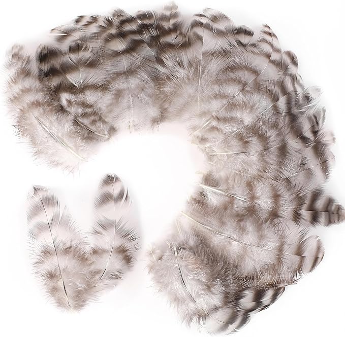 Soarer Natural Chinchilla Coque Feathers - 300pcs 3-5inch Craft Feathers for Dream Catcher Supplies, Home Party, Hats and Jewelry Accessories and DIY Crafts(Chinchilla)