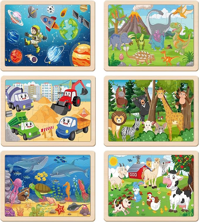 Wooden Puzzles for Kids Ages 3-5, 6 Packs 24 PCs Jigsaw Puzzles Preschool Educational Brain Teaser Boards Toys Gifts for Children, Wood Puzzles for 3 4 5 6 Year Old Boys Girls