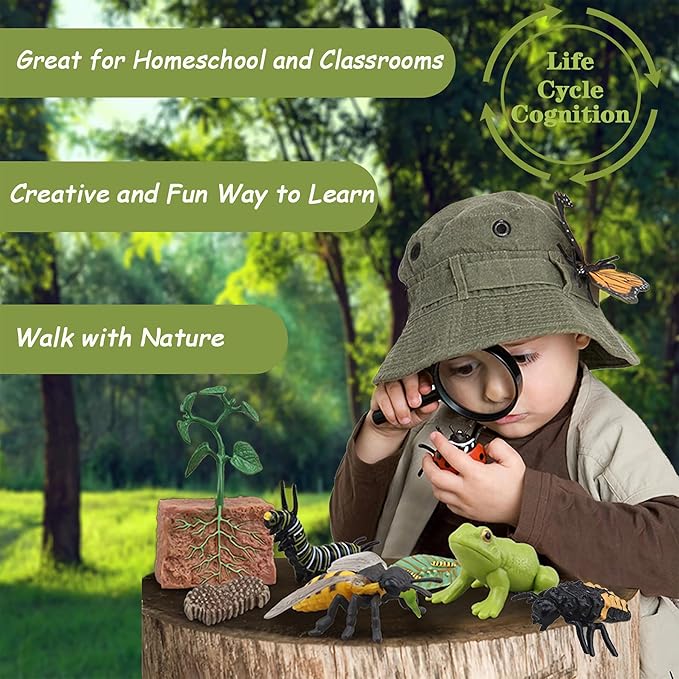 Mbrain 4 pcs Plant Growth Cycle with Flash Cards,Life Cycle Learning & Education Toys,Montessori Toys,Gift for Girl & Boy for 3 4 5 6 7 Year Old (Plant)