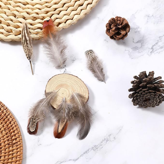 Soarer Mixed Natural Craft Feathers - 300pcs 3-5inch Natural Feathers for Dream Catcher Supplies, Home Party, Hats and Jewelry Accessories and DIY Crafts(Mixed Natural)