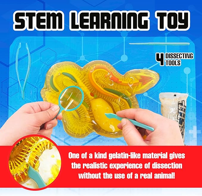 Rattlesnake Super Lab Dissect It Kit for Kids, Synthetic Dissection Kids Science Kit to Learn Biology, STEM Toys for 6 Year Old and Up