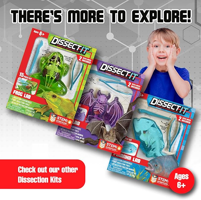 Dissect-It Kit for Kids, Simulated Synthetic Lab Dissection Toy, Salamander STEM Toys for Animal Science, Biology, and Anatomy
