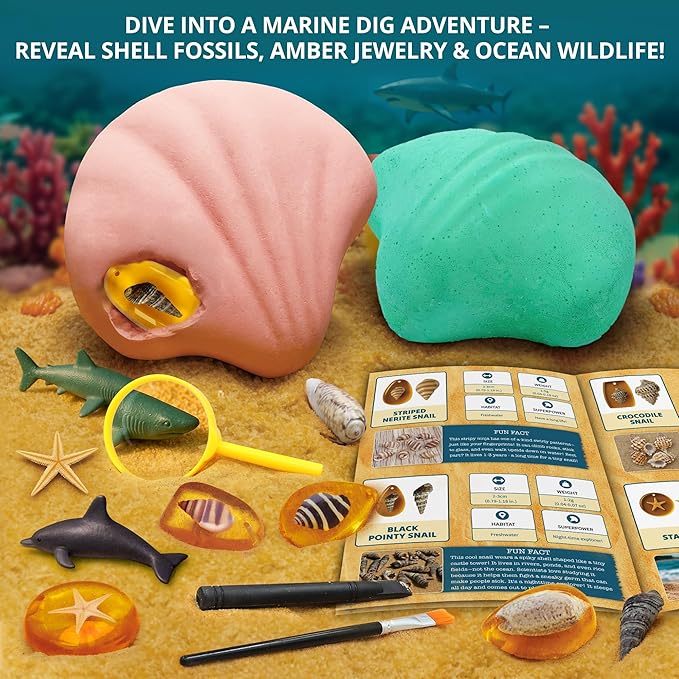Under-The-Sea Dig Kit – Dig & Discover 18 Real Shell Fossils, Amber Jewelry & Sea Animal Creatures – Ocean Necklace Making & STEM Excavation Activity Toy for Kids Ages 6+