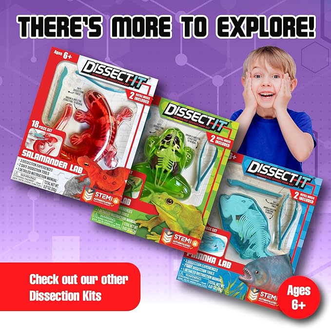 Dissect-It Simulated Synthetic Lab Dissection Toy, STEM Projects for Kids, Animal Science, Biology, and Anatomy Home Learning Kit, Bat