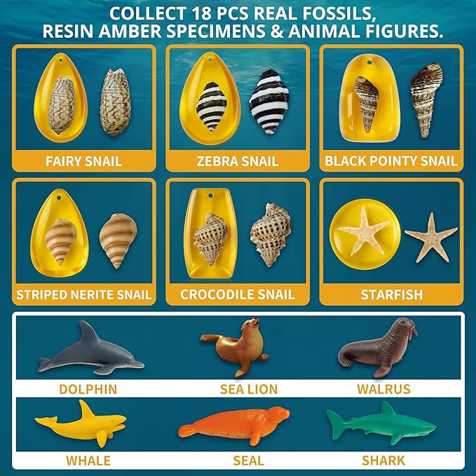 Under-The-Sea Dig Kit – Dig & Discover 18 Real Shell Fossils, Amber Jewelry & Sea Animal Creatures – Ocean Necklace Making & STEM Excavation Activity Toy for Kids Ages 6+