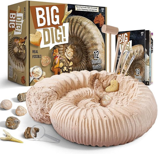 Byncceh Mega Fossil Dig Kit - Excavate 12 Prehistoric Fossils, Shark Teeth, Dinosaur Poop, Fossil Fish, Paleontology Educational STEM Science Toys for Kids Gifts for Girls & Boys