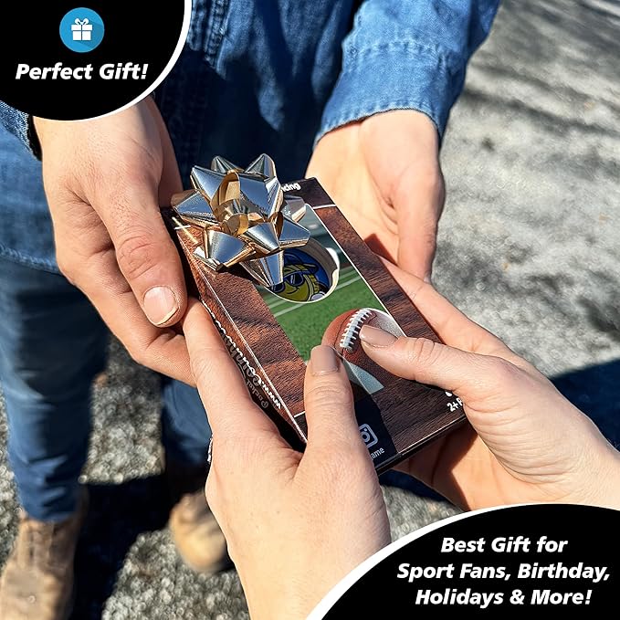 Coinhole Desktop Coin Bouncing Party Game Set | Tabletop Cornhole Board Game | Small Cornhole Travel Game Includes Coins