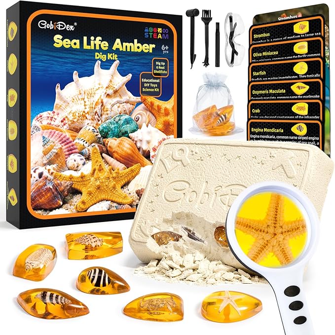 GobiDex Sea Life Amber Dig Kit, Educational Fun Toys STEM Activities Science Kits for Kids Age 6-8-12, Dig Up 6 Real Artificial Shellfish Resin&Collection Specimens, Birthday Gifts for Boys and Girls