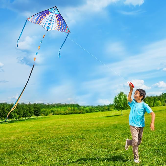 HONBO Large Delta Kite for Kids & Adults,Extremely Easy to Fly Kite for Beach Trip,String Line Included,with Colorful Tail,Perfect for Beginners